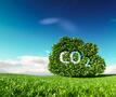 CO2 geschreven op een boom in graslandschap met blauwe lucht